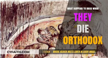 Orthodox Beliefs: Understanding Dogs' Afterlife and Spiritual Journey