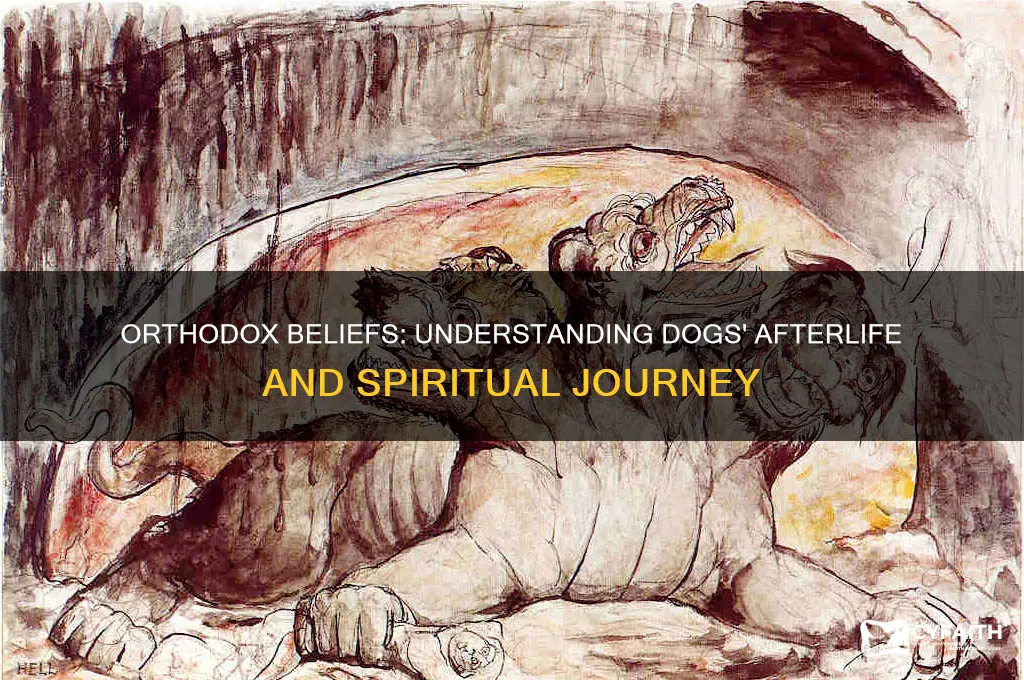 what happens to dogs when they die orthodox