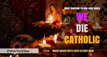 Catholic Teachings on the Soul's Journey After Death Explained