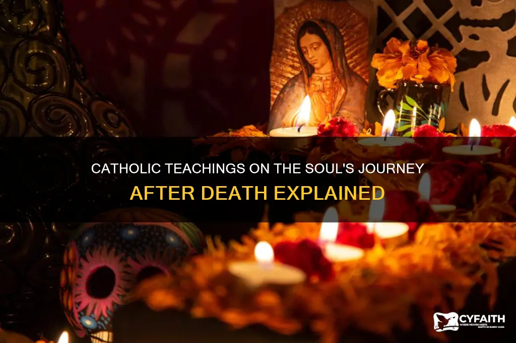 what happens to our soul when we die catholic