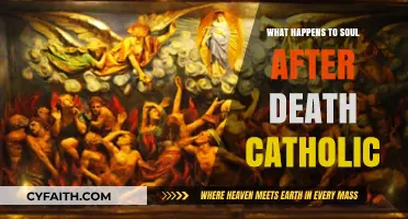 Catholic Teachings: The Soul's Eternal Journey After Death Explained