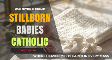 Catholic Perspective: Stillborn Babies' Souls and Eternal Rest Explained