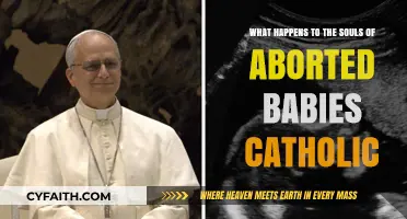 Catholic Perspective: The Souls of Aborted Babies and Eternal Life
