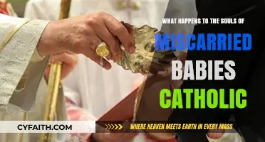 Catholic Perspective: The Souls of Miscarried Babies in Heaven