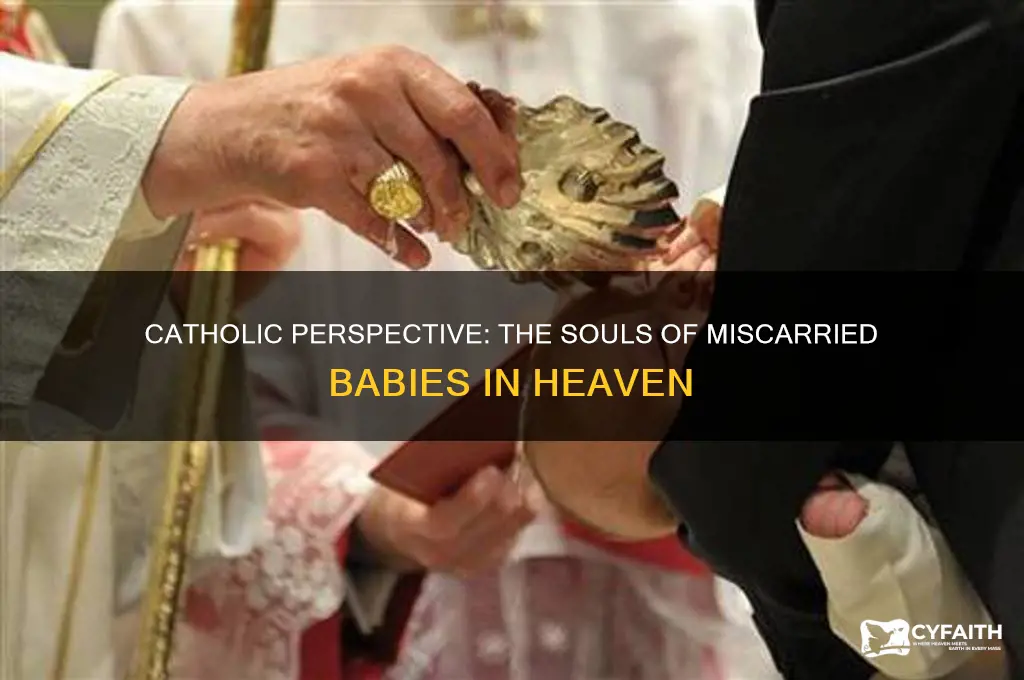 what happens to the souls of miscarried babies catholic