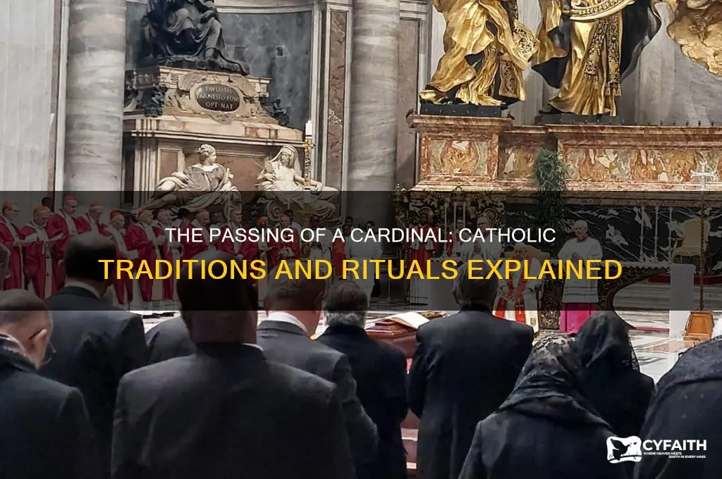 what happens when a catholic cardinal died