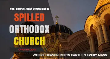 Spilled Communion in Orthodox Tradition: Ritual, Reverence, and Response
