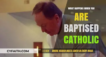 Catholic Baptism Explained: Rituals, Meaning, and Lifelong Spiritual Commitment
