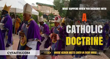Navigating Faith: Consequences of Disagreeing with Catholic Doctrine Explained