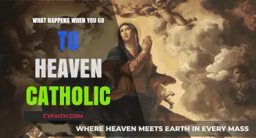 Catholic Visions of Heaven: Exploring the Eternal Journey Beyond Earth