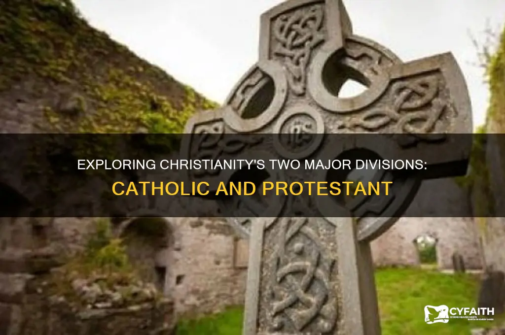what has two major divisions catholic and prostestant