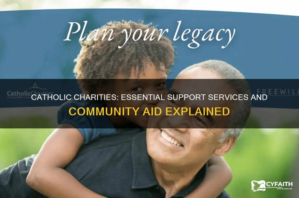 what help do the catholic charity give