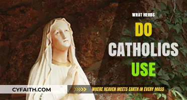 Sacred Herbs in Catholic Traditions: Exploring Their Spiritual and Cultural Uses