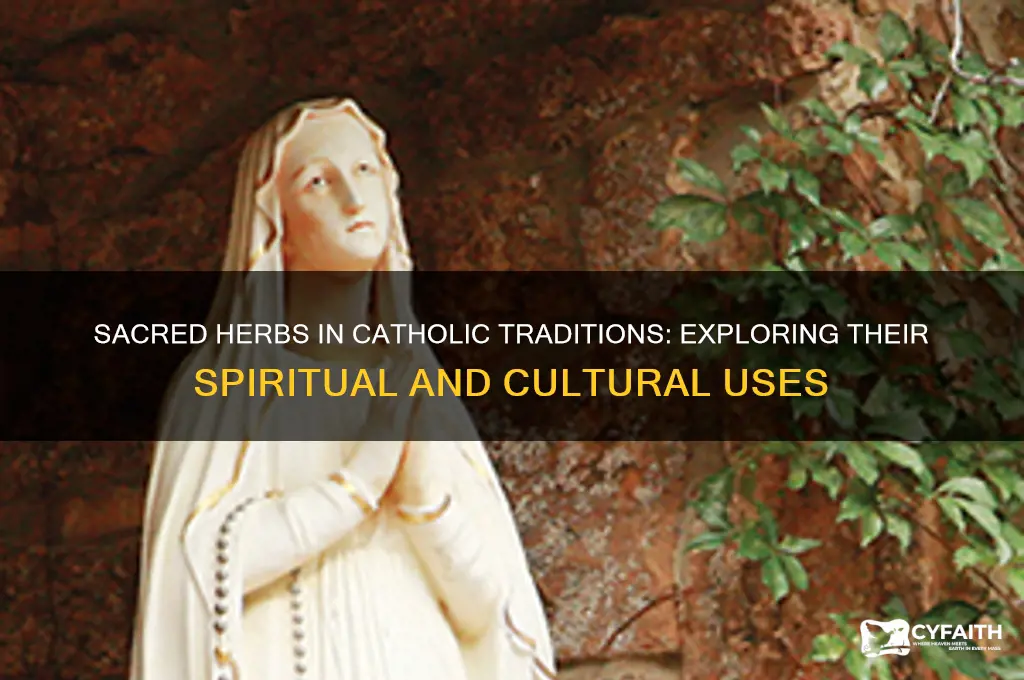 what herbs do catholics use