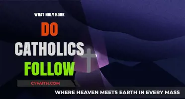 The Sacred Scripture: Understanding the Catholic Bible and Its Role