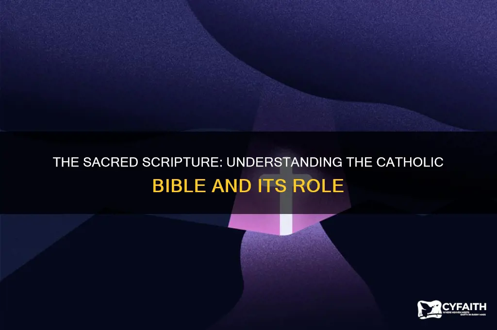what holy book do catholics follow
