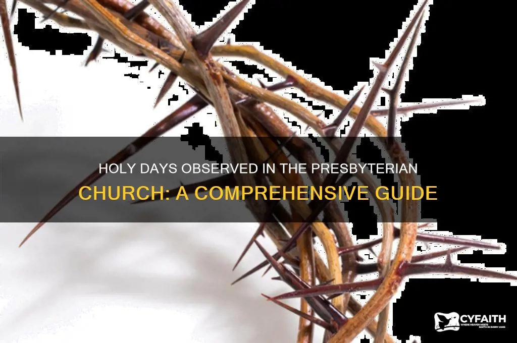 what holy days does the presbyterian church celibrate