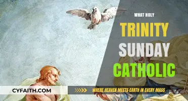 Understanding Holy Trinity Sunday: Catholic Faith, Doctrine, and Celebration Explained