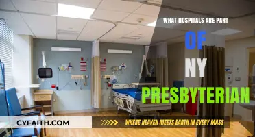 Discovering the Network: Hospitals Affiliated with NY Presbyterian