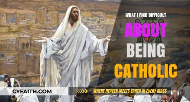 Struggles of Faith: Navigating Challenges as a Catholic Believer