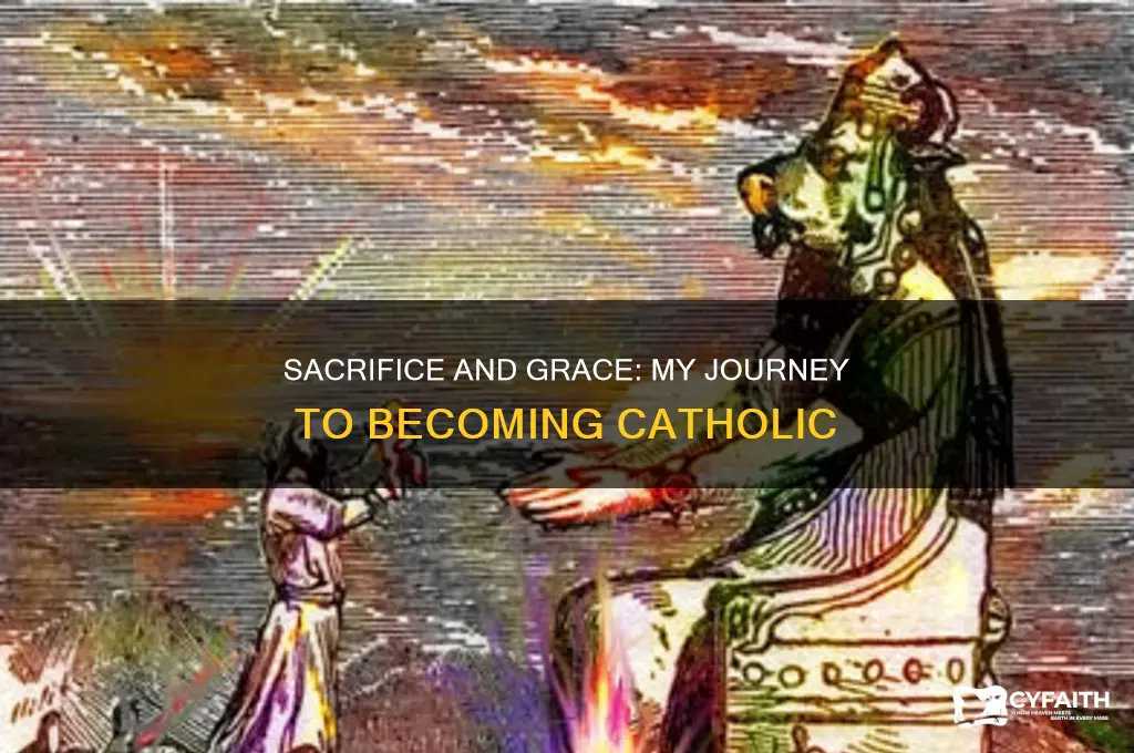 what i gave up to become catholic