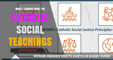 Catholic Social Teachings: Lessons on Faith, Justice, and Human Dignity