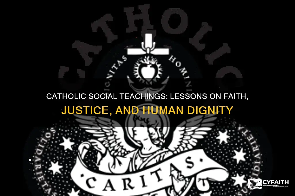 what i learned about the catholic social teachings