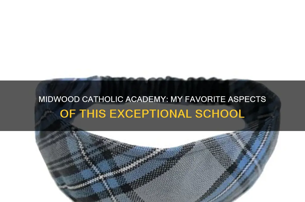 what i like most about midwood catholic academy