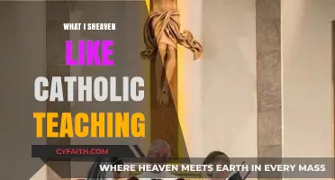Understanding Catholic Teachings on Heaven: Insights and Reflections