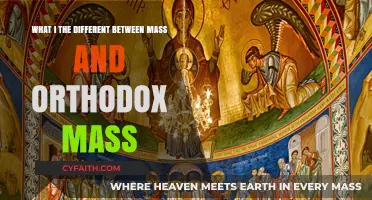 Orthodox vs. Mass: Understanding the Liturgical Differences and Traditions