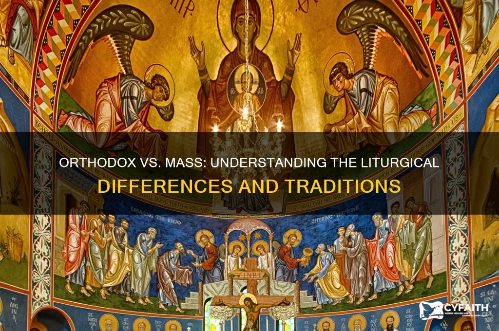 what i the different between mass and orthodox mass
