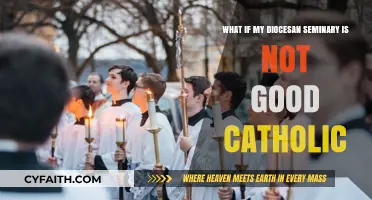 Is Your Diocesan Seminary Truly Upholding Catholic Values?