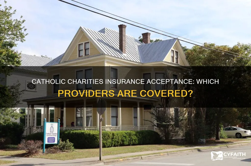what insurance is accepted at catholic charities
