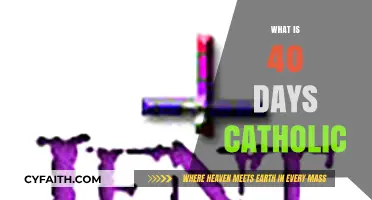 Understanding the Catholic Tradition of 40 Days of Lent and Reflection