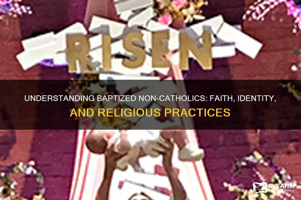 what is a baptized non catholic