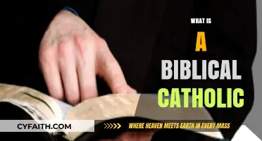 Understanding the Biblical Catholic: Faith, Tradition, and Sacred Scripture