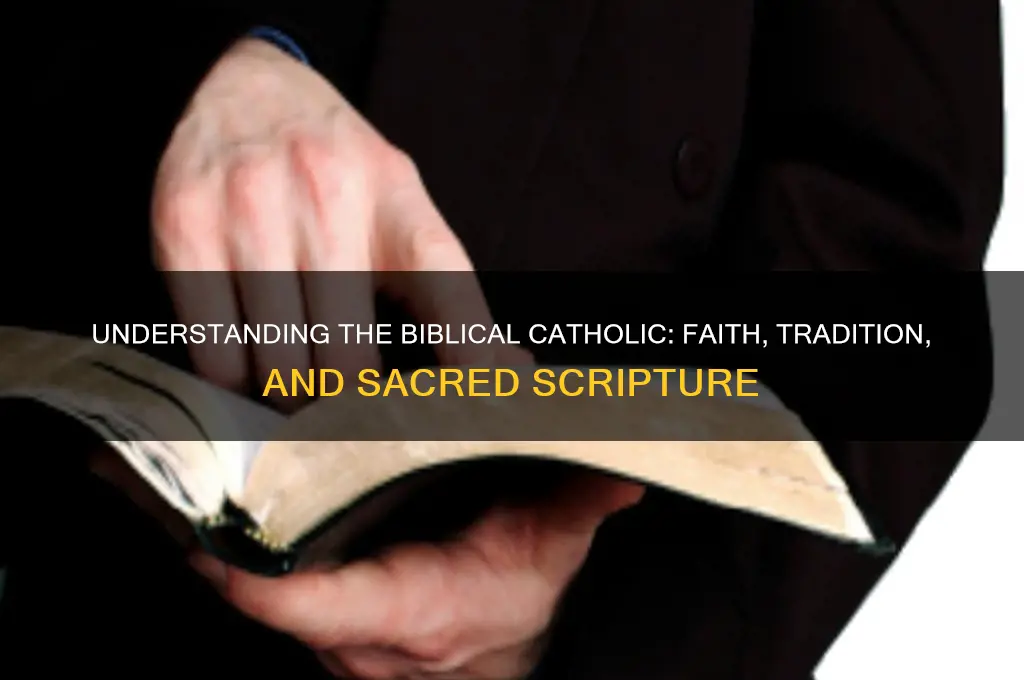 what is a biblical catholic