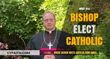 Understanding the Role of a Bishop Elect in the Catholic Church