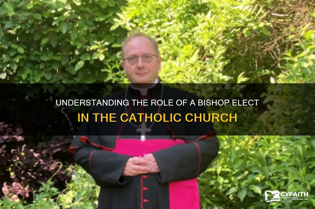 what is a bishop elect catholic