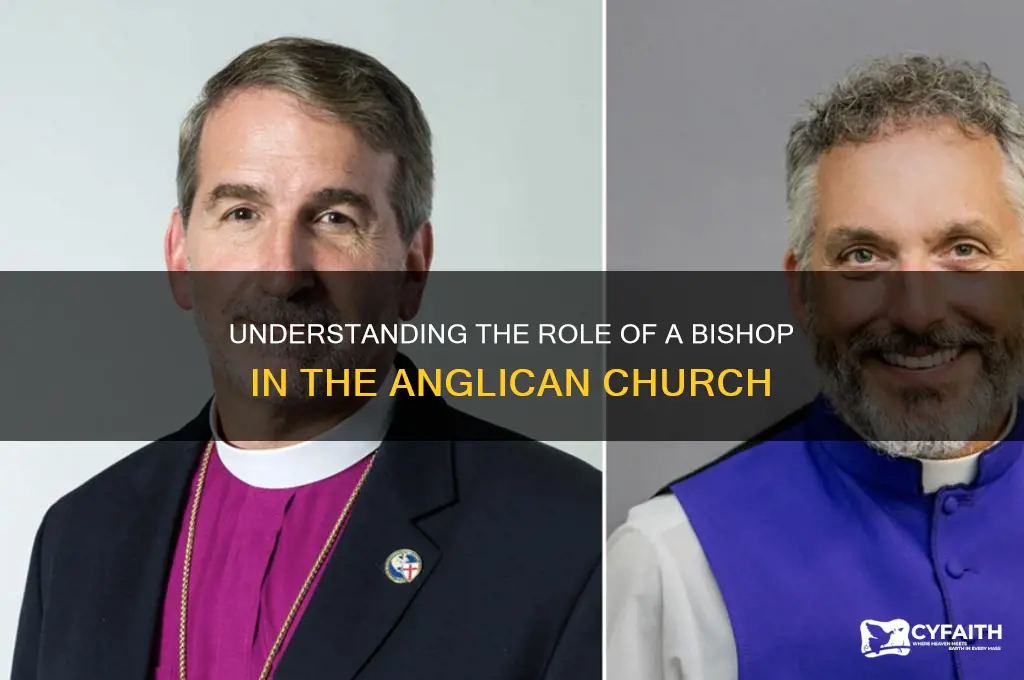 what is a bishop in the anglican church