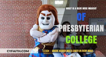 Blue Hose Mascot: Presbyterian College's Unique Symbol Explained