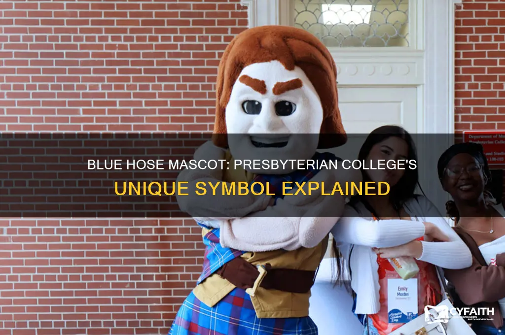 what is a blue hose mascot of presbyterian college