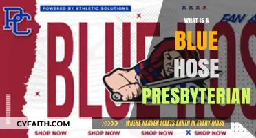 Understanding Blue Hose Presbyterian: History, Beliefs, and Modern Practices