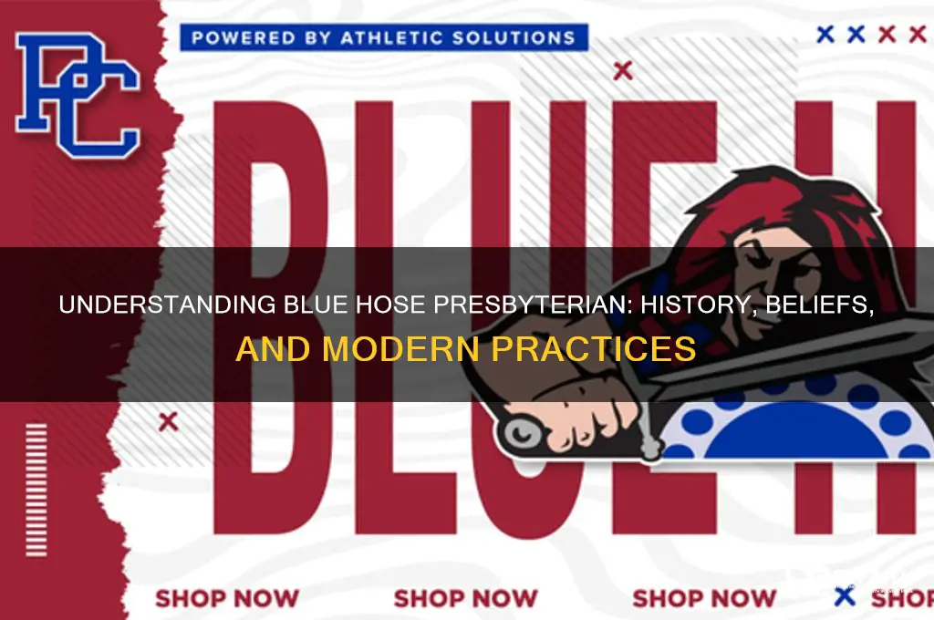 what is a blue hose presbyterian