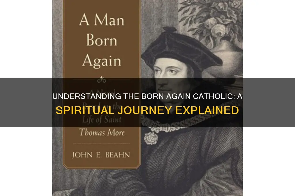 what is a born again catholic