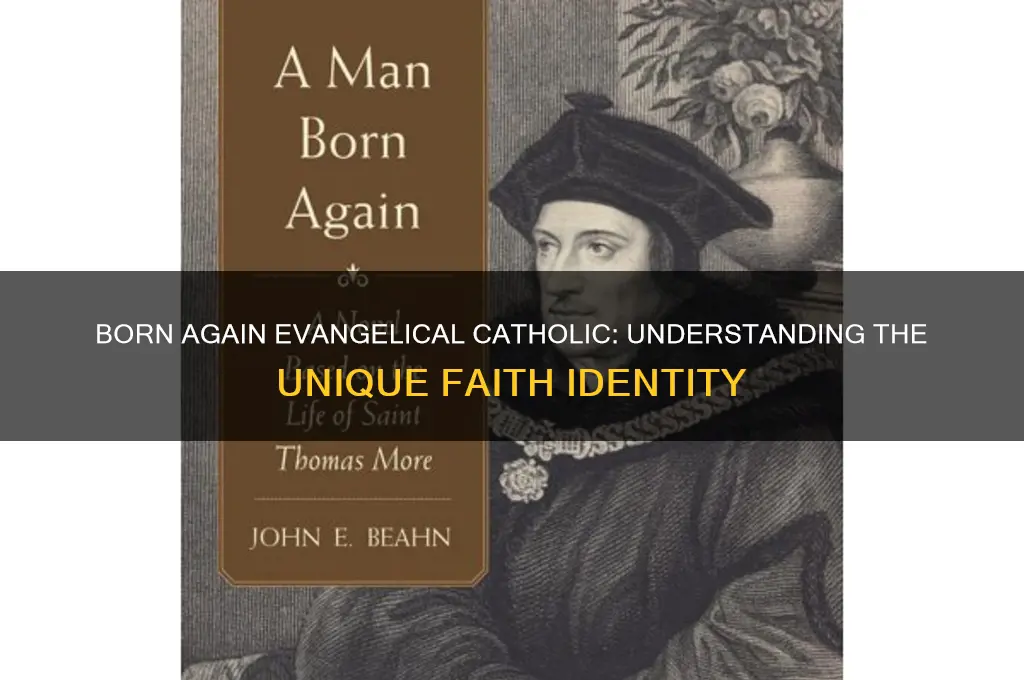 what is a born again evangelical catholic