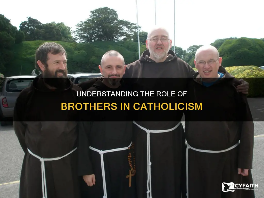 what is a brother in the catholic religion