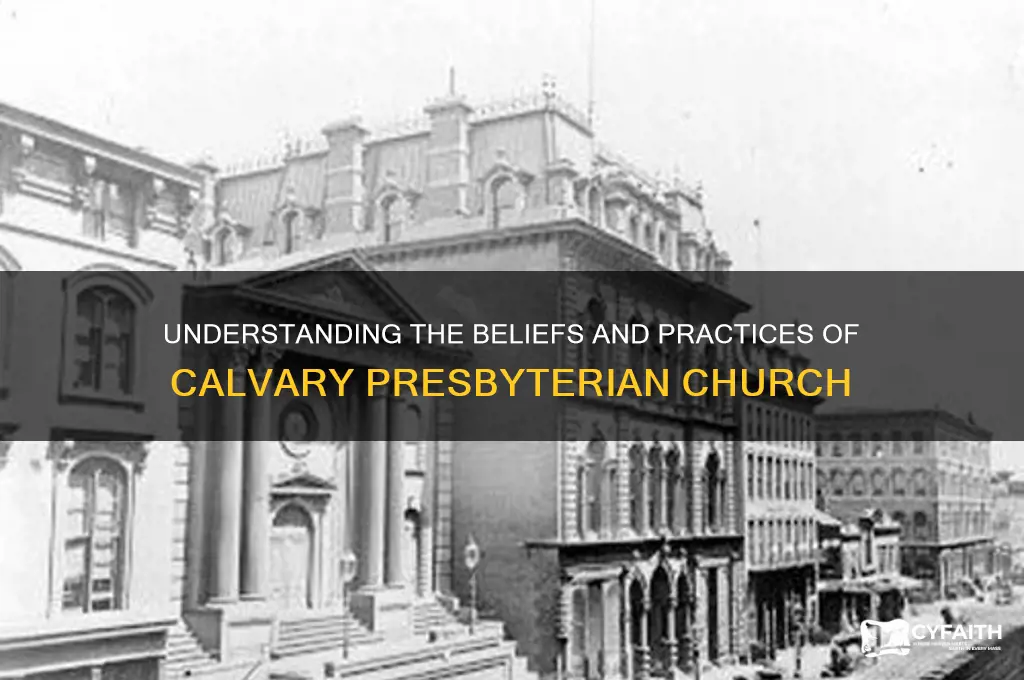 what is a calvary presbyterian church