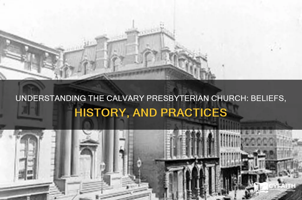 what is a calvery presbyterian church