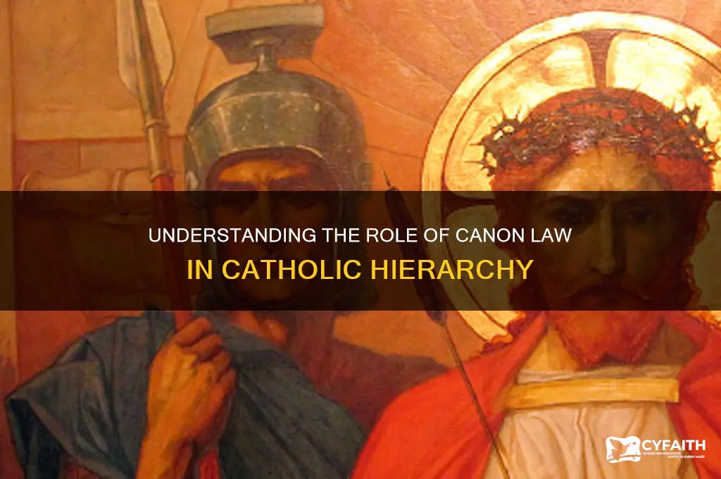 what is a canon in catholic hierarchy